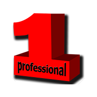  1Professional
