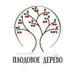 Плодовое дерево, питомник в Кировске