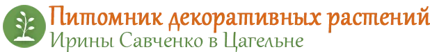 Питомник декоративных растений Ирины Савченко в Гомеле