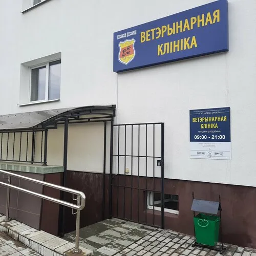 Ветеринарная клиника Четыре лапы в Борисове