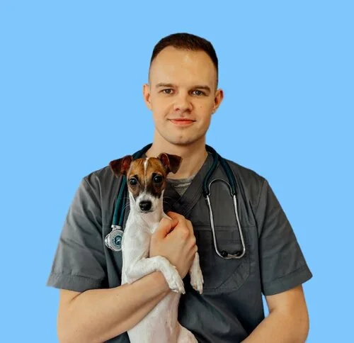 Ветеринарная клиника в Ивацевичах
