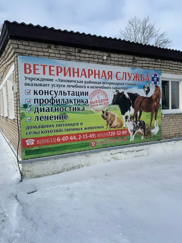 Ветеринарная клиника на ул. Орловского в Ляховичи